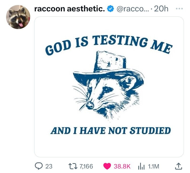 god is testing me and i didn t study - raccoon aesthetic. ... 20h God Is Testing Me And I Have Not Studied 23 17,166 1.1M