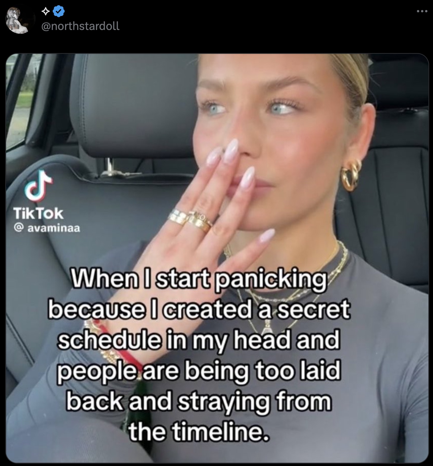 screenshot - Tik Tok When I start panicking because I created a secret schedule in my head and people are being too laid back and straying from the timeline.