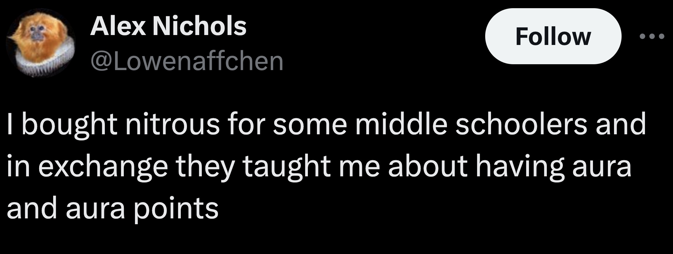 parallel - Alex Nichols I bought nitrous for some middle schoolers and in exchange they taught me about having aura and aura points