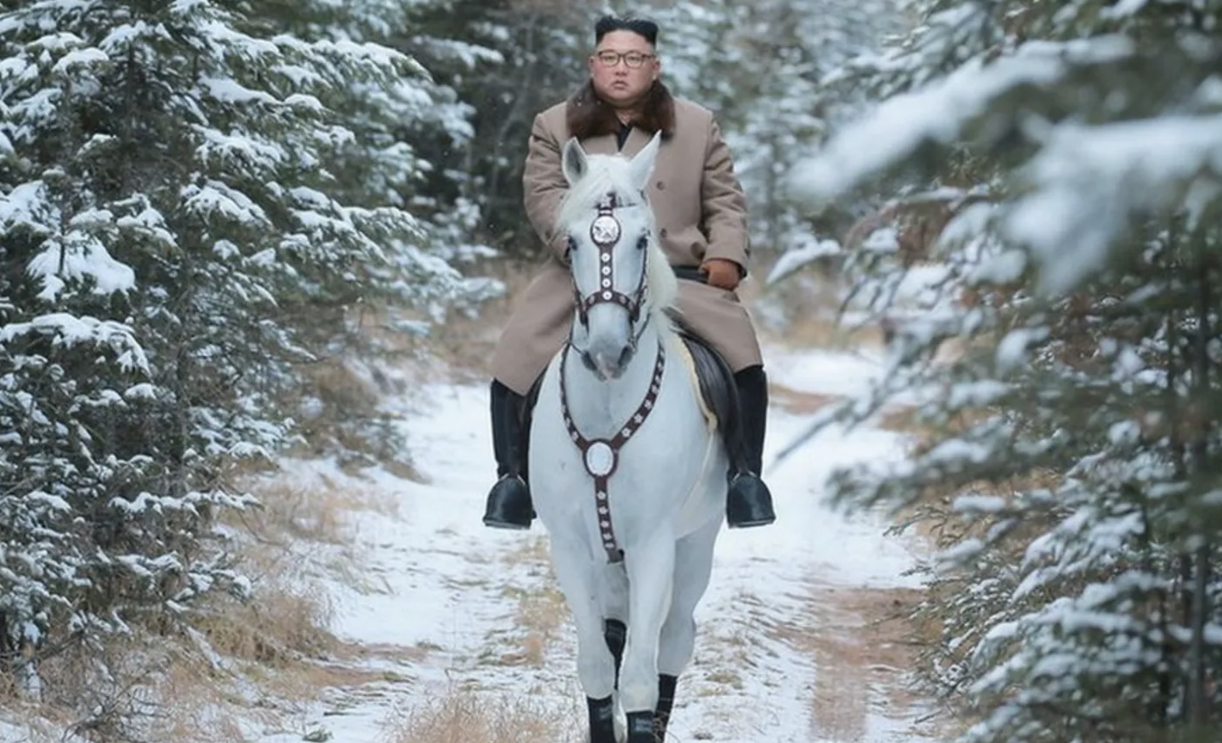 russia sent horses to north korea railway - 210