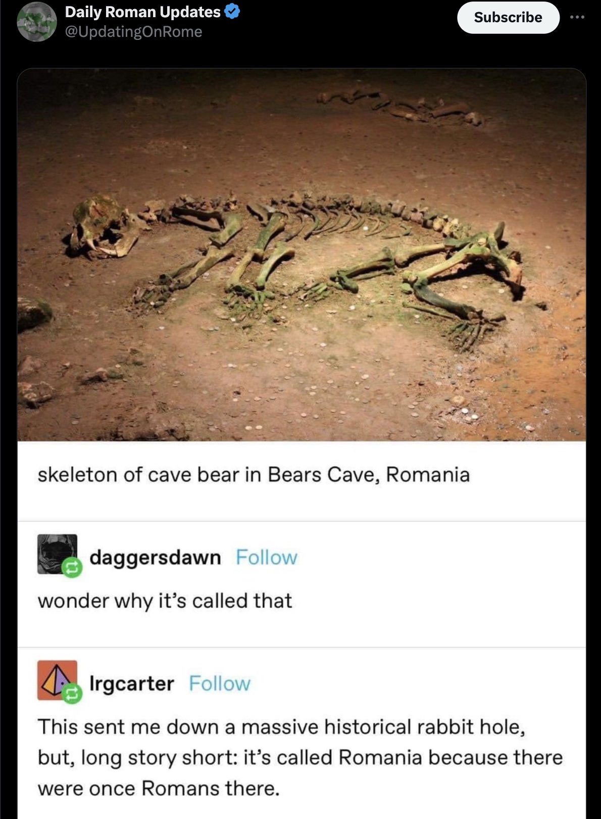 Daily Roman Updates Subscribe skeleton of cave bear in Bears Cave, Romania daggersdawn wonder why it's called that Irgcarter This sent me down a massive historical rabbit hole, but, long story short it's called Romania because there were once Romans there