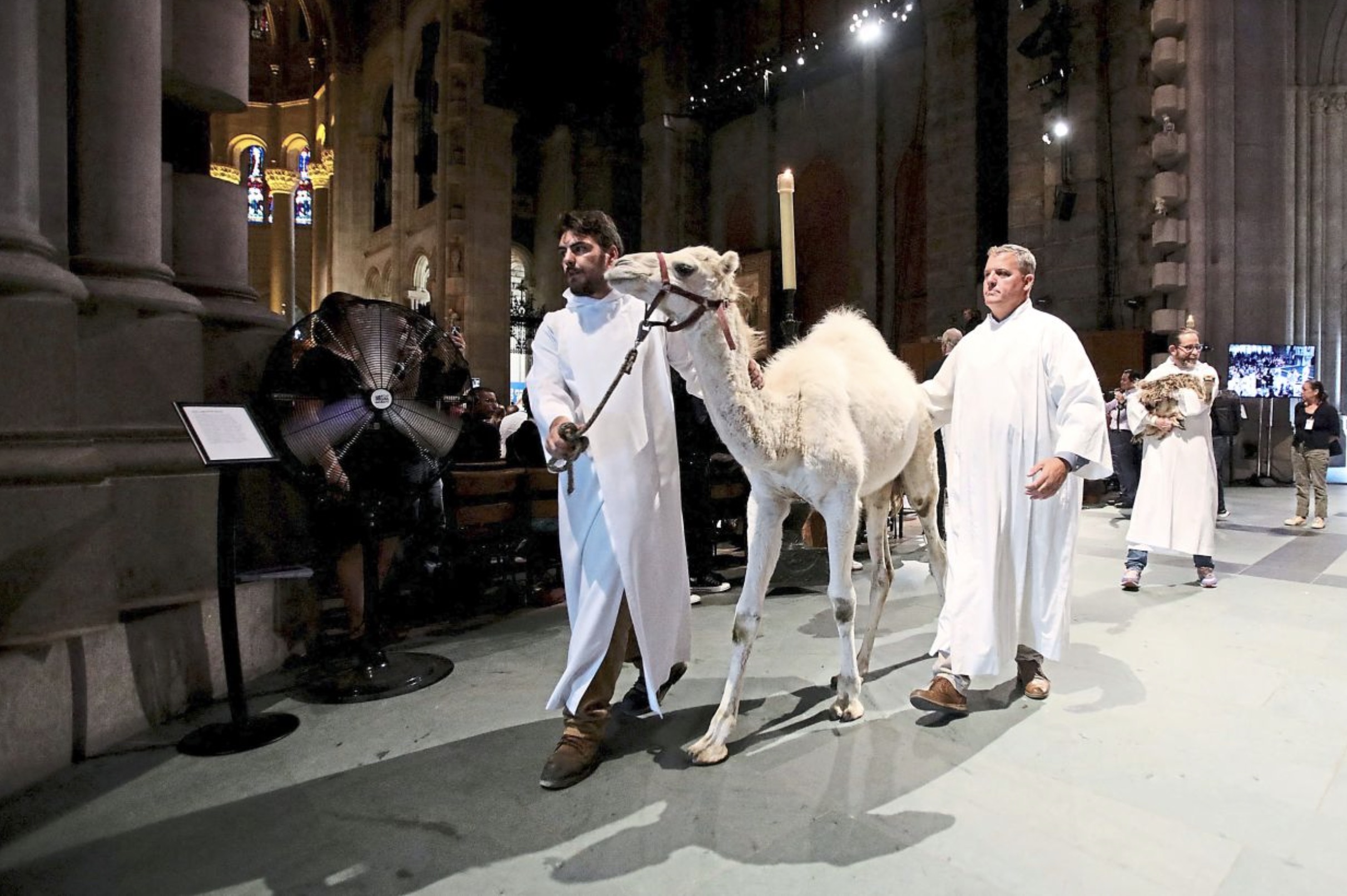 church animal blessing