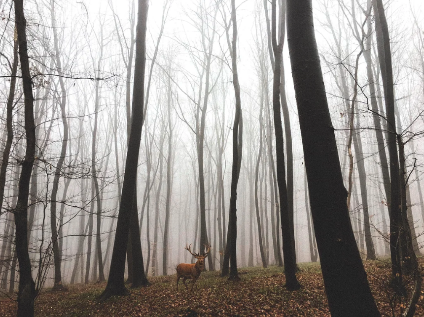 These Are the Most Chill, Relaxing Photos of Transylvania