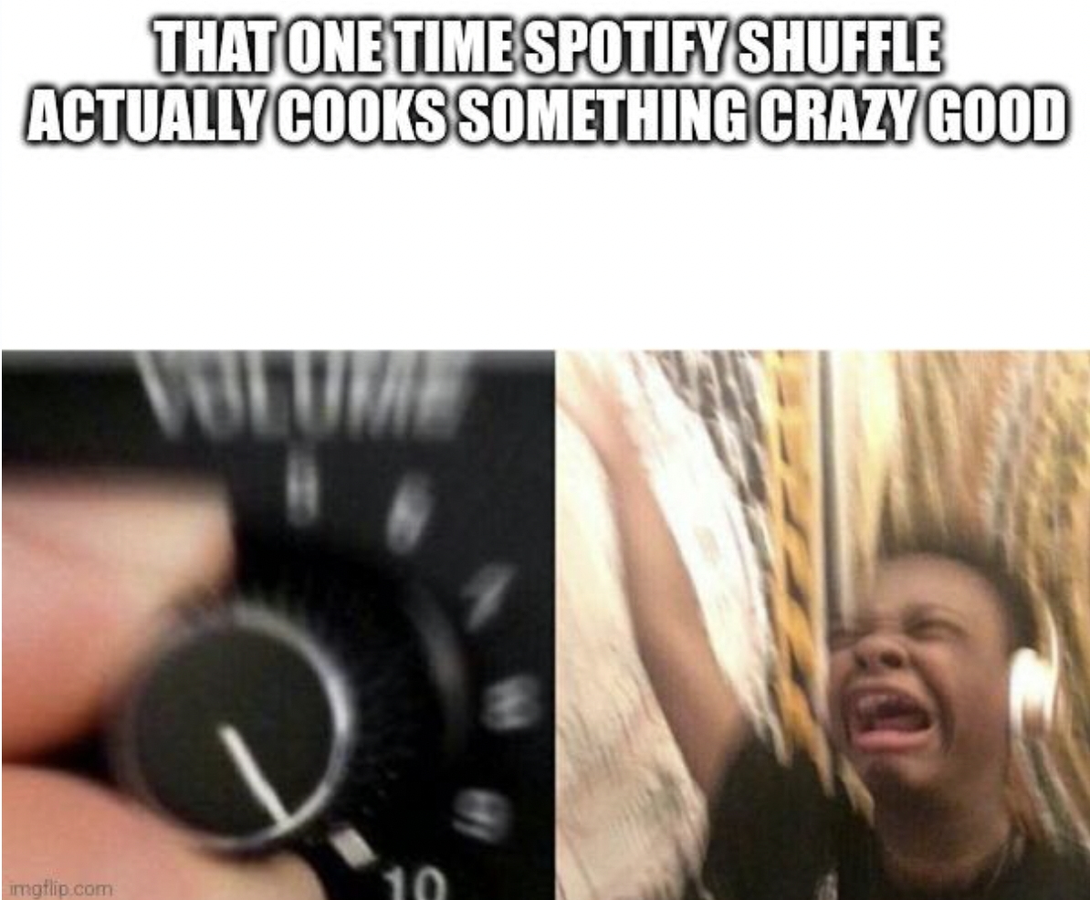 song is a banger meme - That One Time Spotify Shuffle Actually Cooks Something Crazy Good imgflip.com Voll