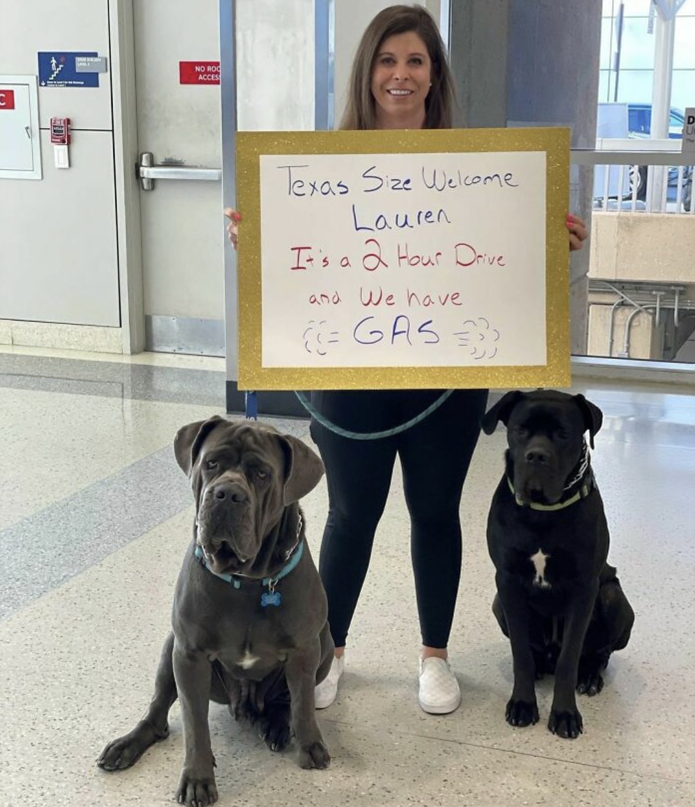 neapolitan mastiff - Texas Size Welcome Lauren Is a 2 Hour Drive and We have Gas