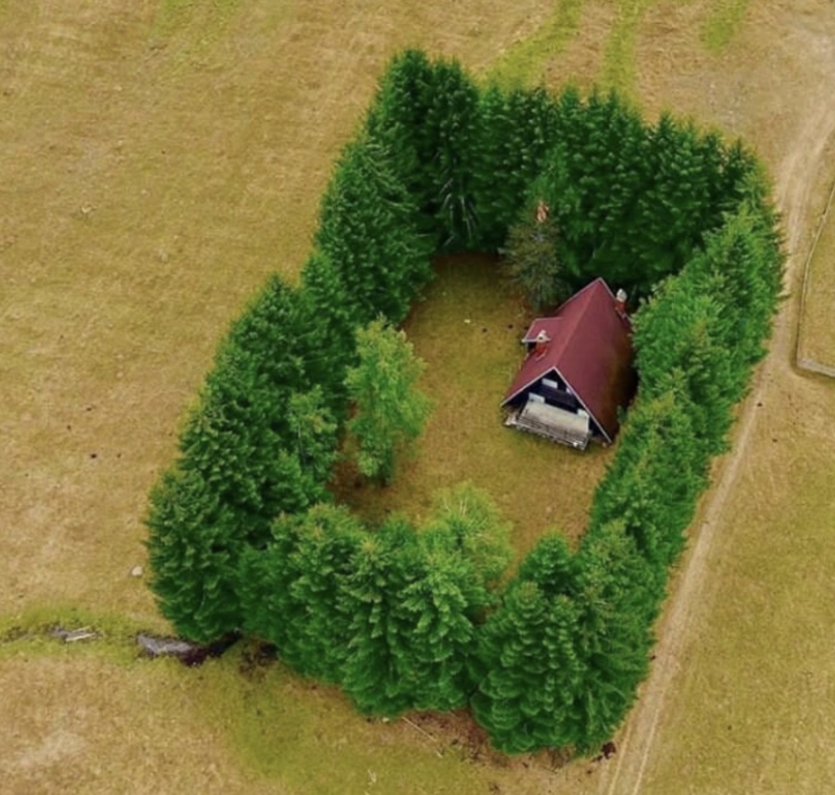 house surrounded by trees meme