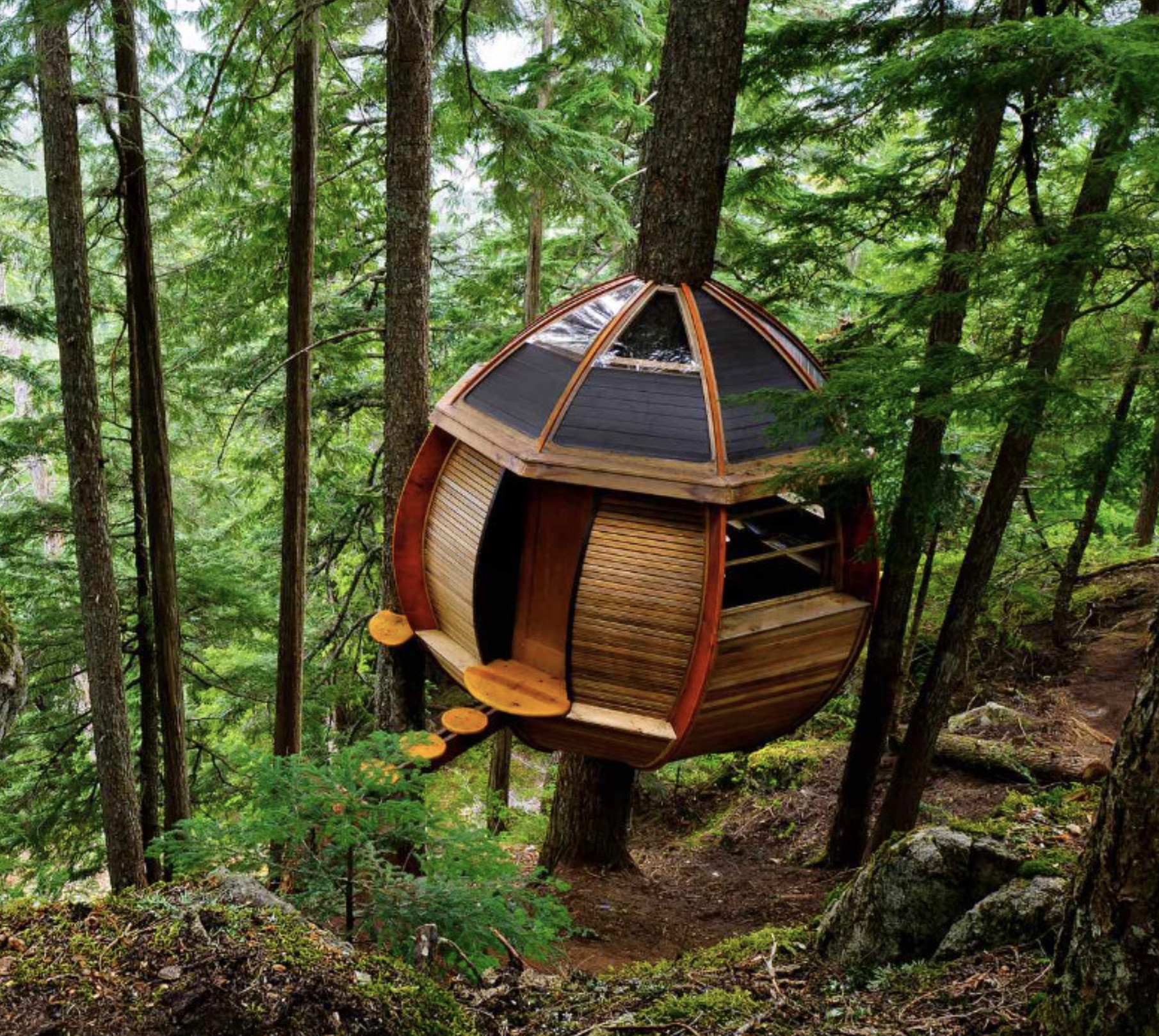 tree house