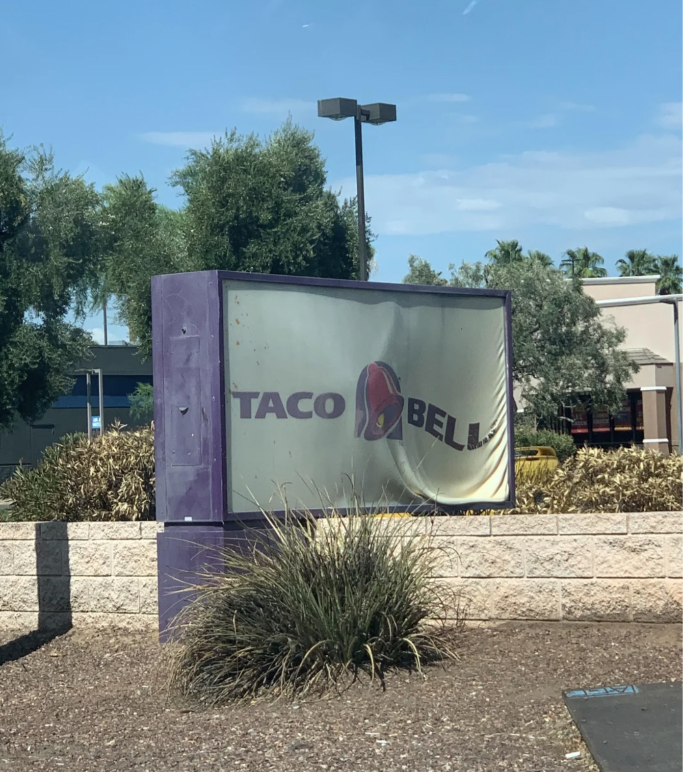 grass - Taco Bell