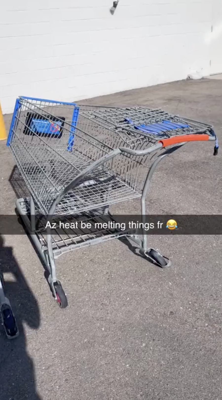 shopping cart - Az heat be melting things fr