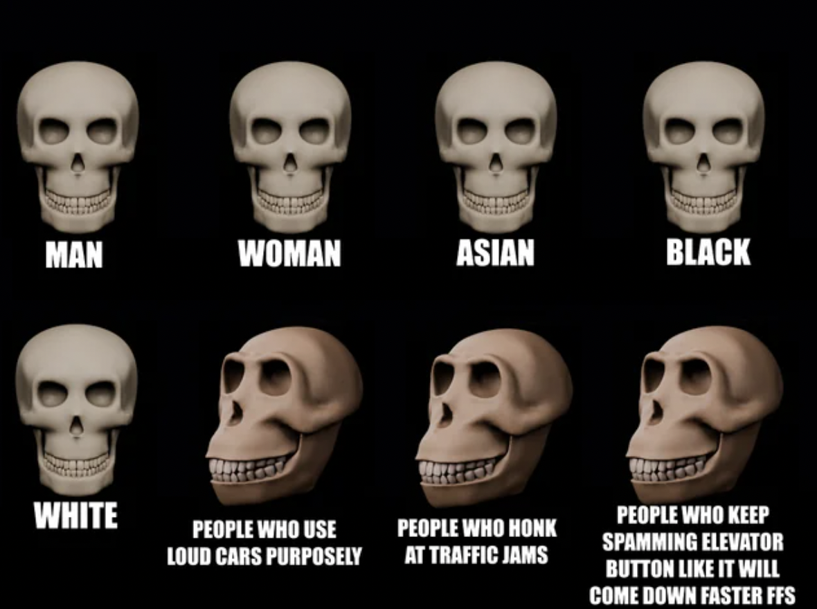 skull - Man Woman Asian Black White People Who Use Loud Cars Purposely People Who Honk At Traffic Jams People Who Keep Spamming Elevator Button It Will Come Down Faster Ffs