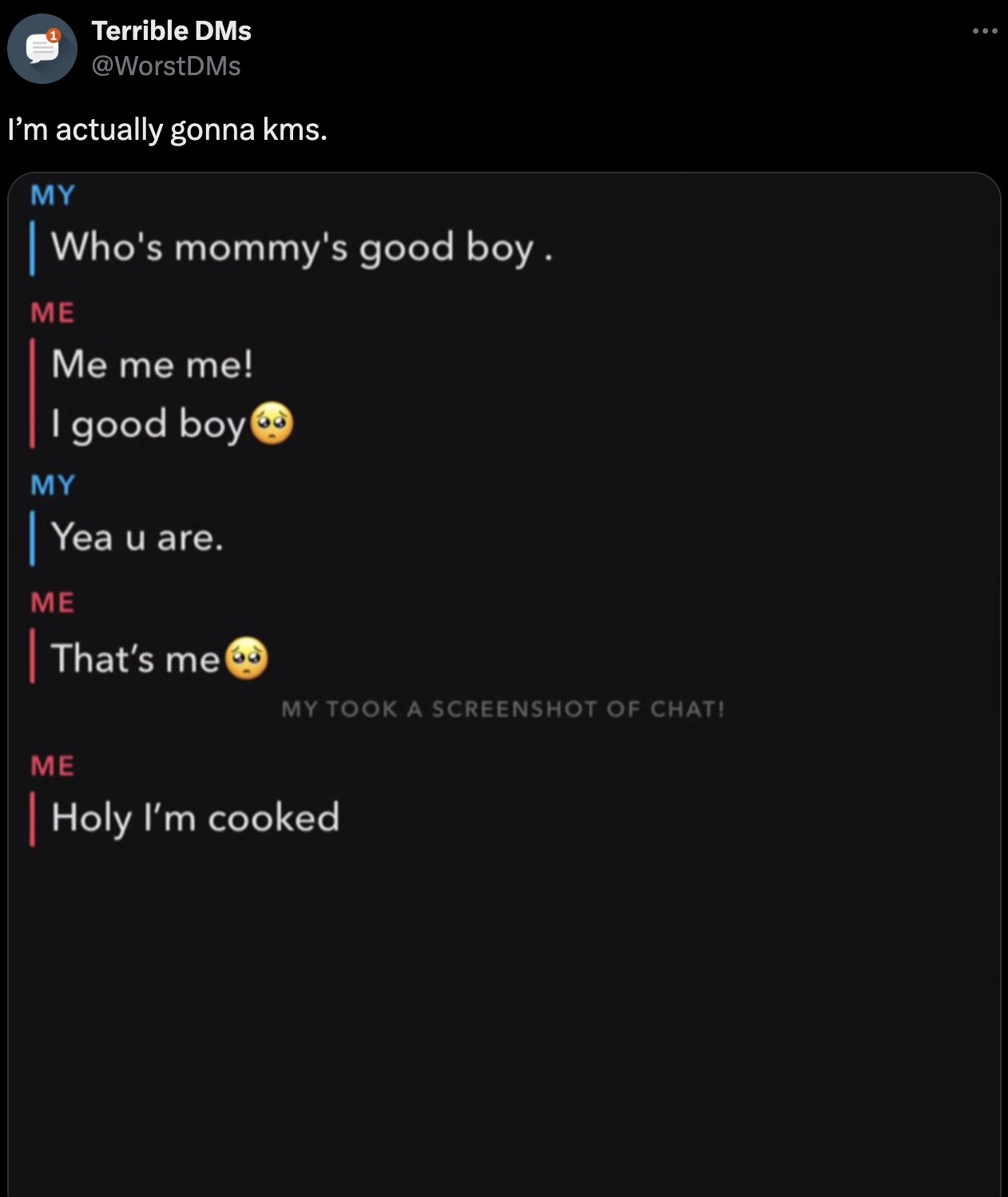 screenshot - Terrible DMs I'm actually gonna kms. My | Who's mommy's good boy. Me Me me me! I good boy My | Yea u are. Me That's me My Took A Screenshot Of Chat! Me | Holy I'm cooked