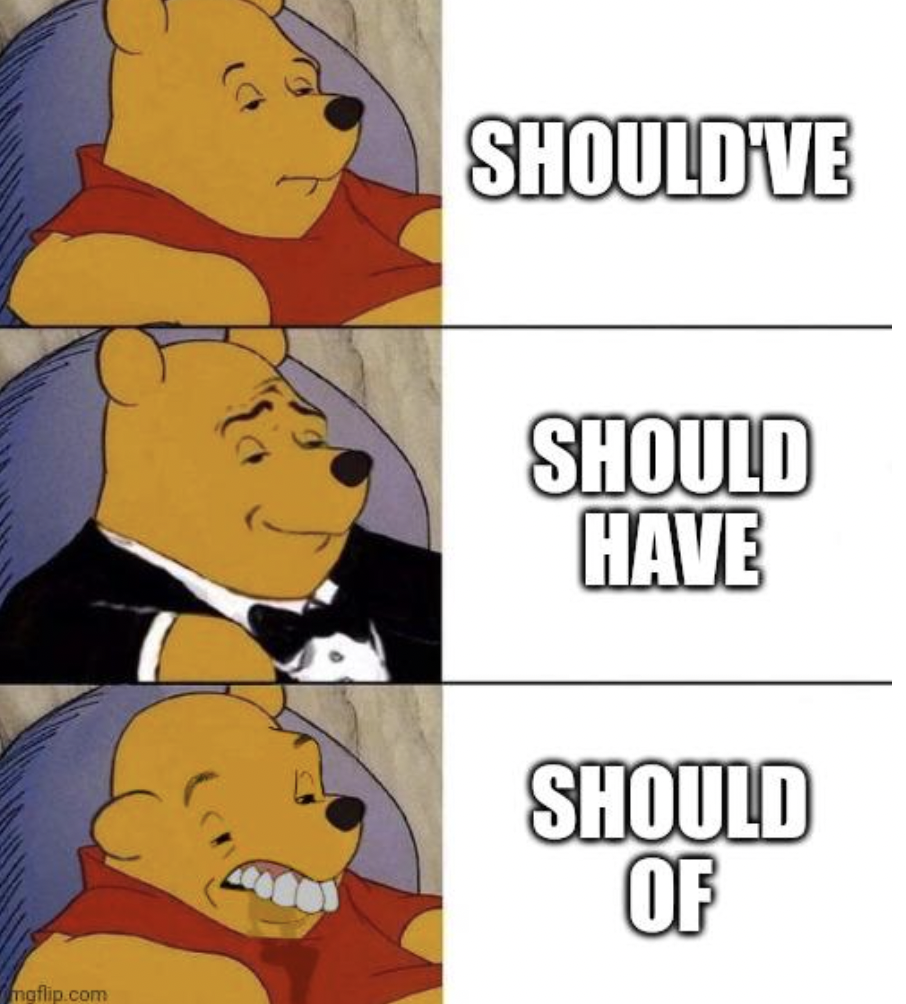 winnie pooh meme - ngflip.com Should'Ve Should Have Should Of