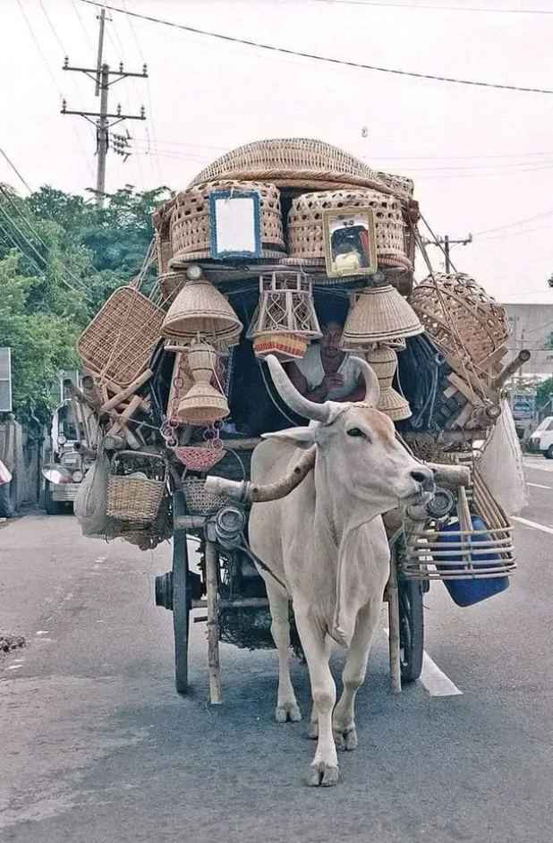 Traditional Ratan furniture seller, Philippines.