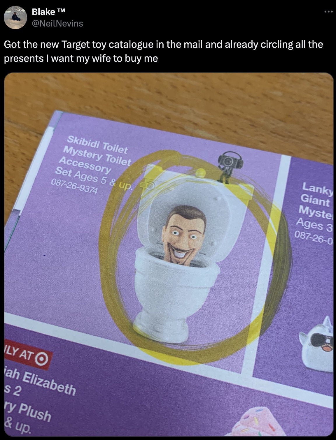 flyer - Blake Nevins Got the new Target toy catalogue in the mail and already circling all the presents I want my wife to buy me Skibidi Toilet Mystery Toilet Accessory Set Ages 5 & up. 087269374 Lanky Giant Myste Ages 3 087260 Ly At O ah Elizabeth $2 ry 