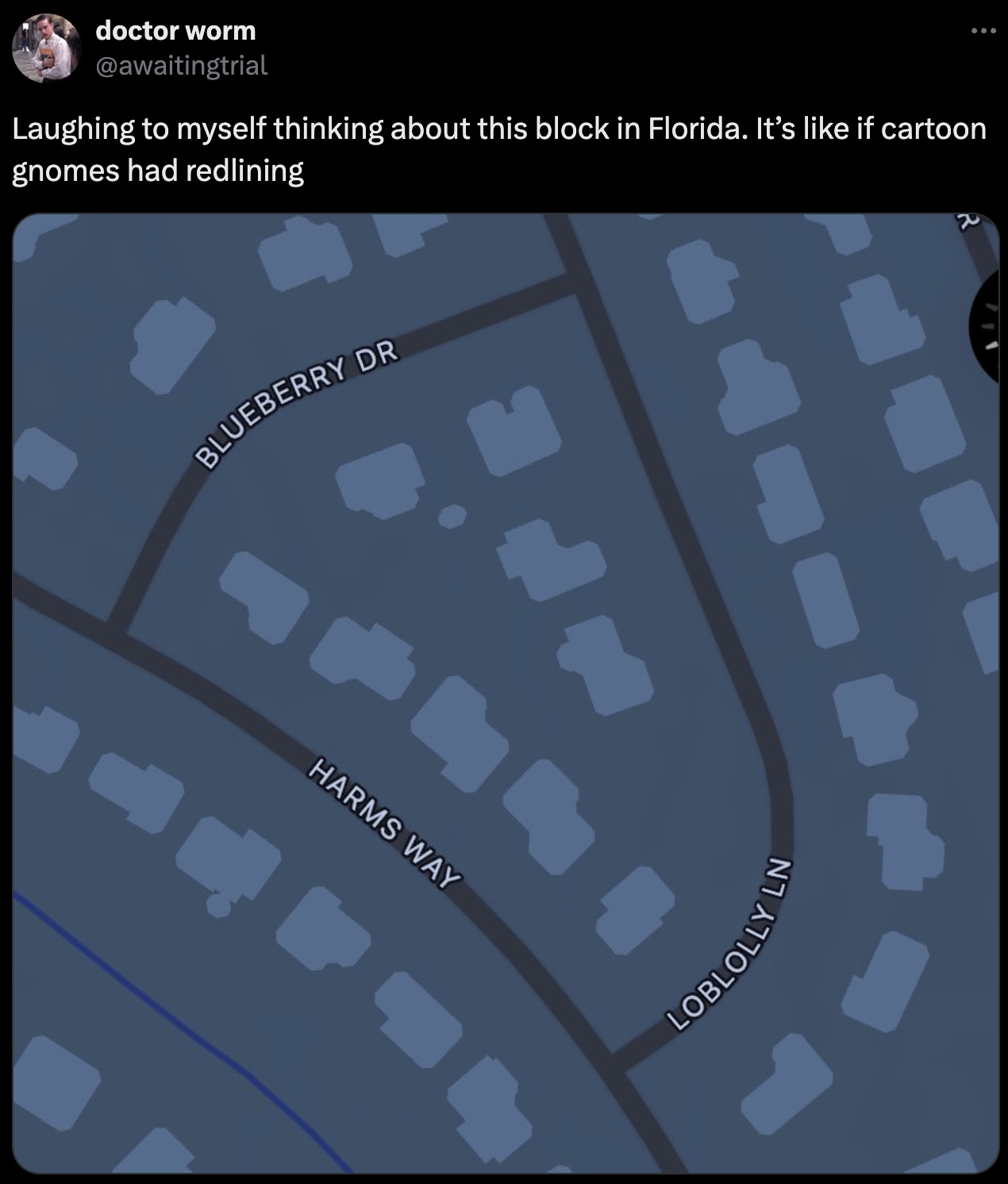 screenshot - doctor worm Laughing to myself thinking about this block in Florida. It's if cartoon gnomes had redlining Blueberry Dr Harms Way Blolly L