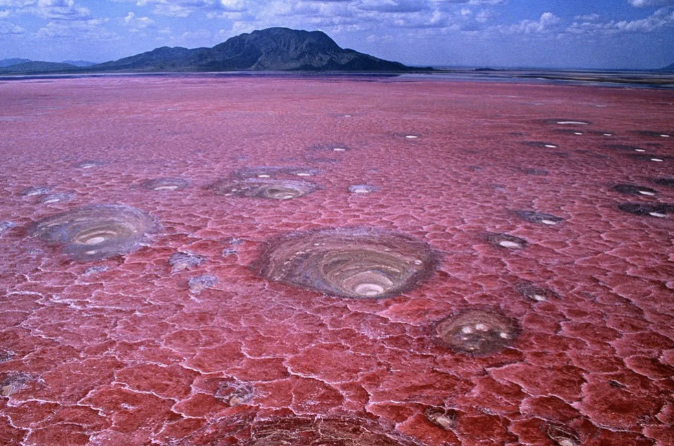 Lake Natron has a crusty pink surface and a pH of 12+.