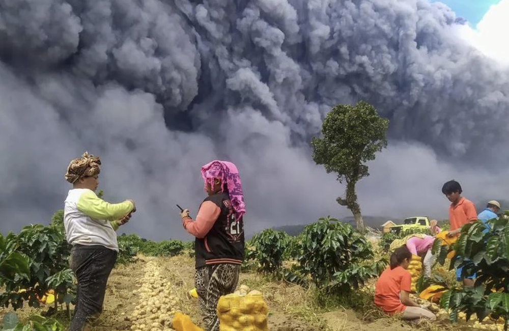 Locals harvest their potatoes as Mount Sinabung spews volcanic ash, Indonesia.