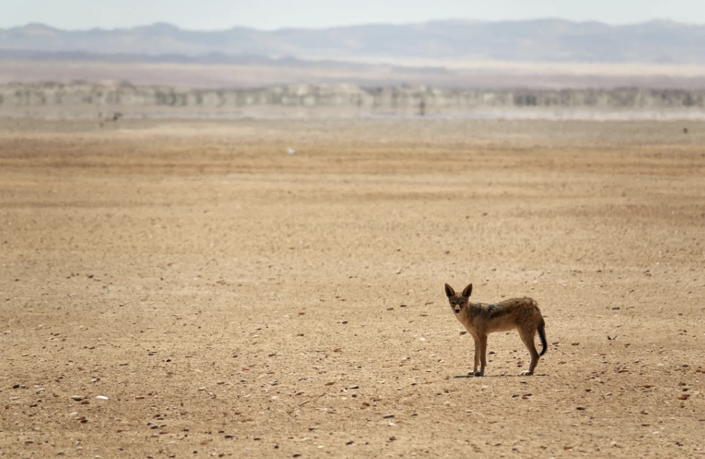 25 Beautifully Toxic Places from Around the World