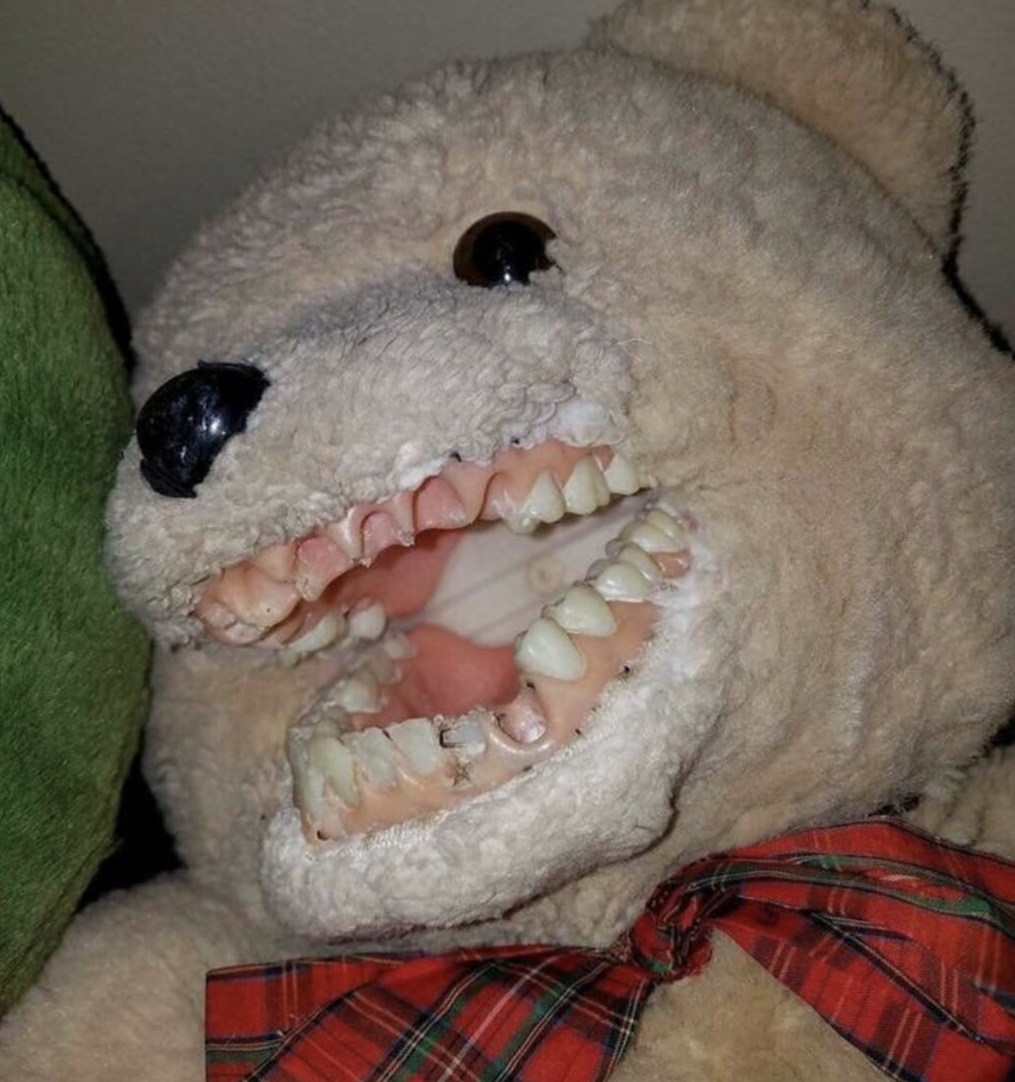 cursed teddy bear