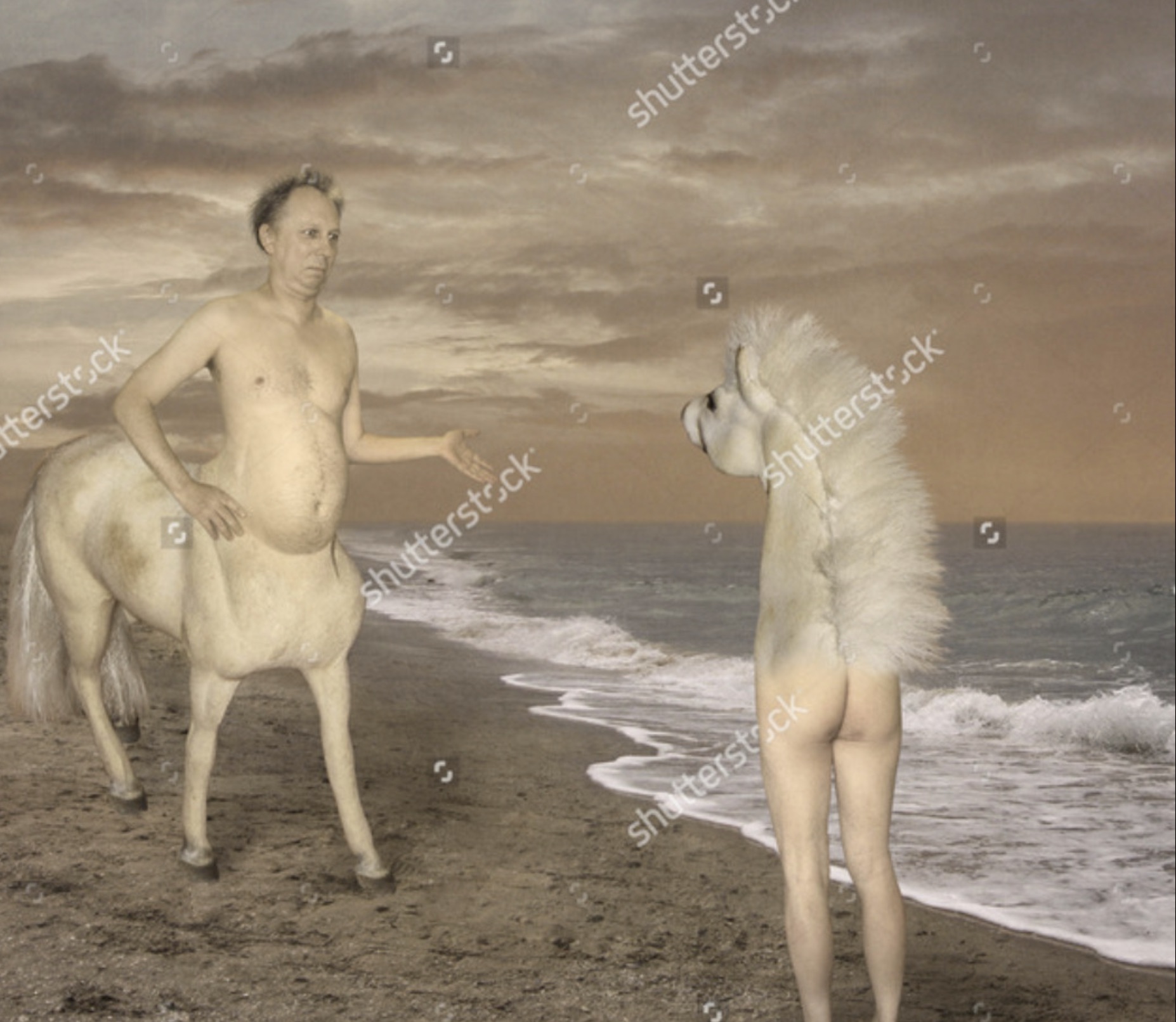 wrong half centaur - terstock shutterstock shutterstock shuttersto shutterstock