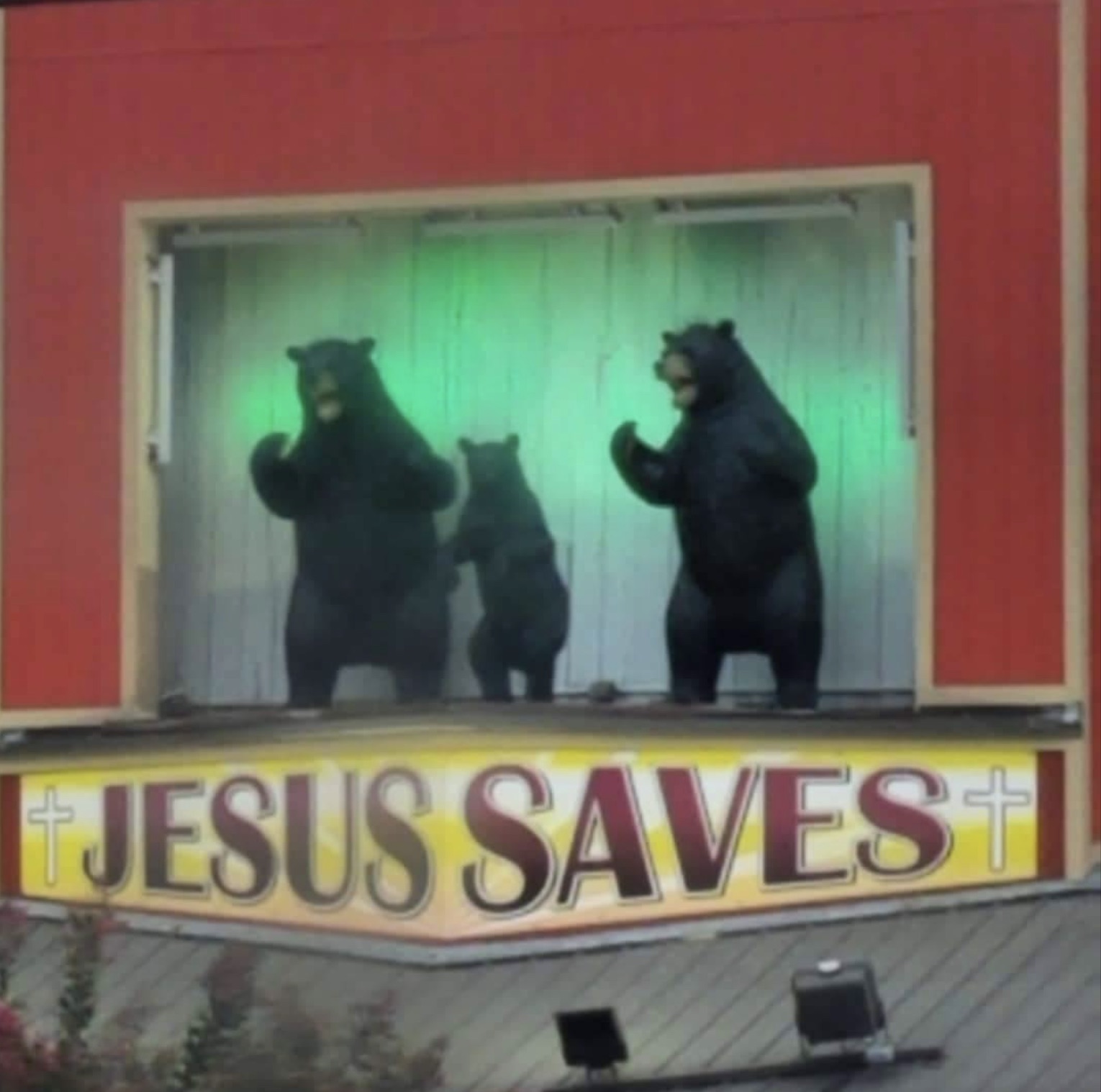 american black bear - Jesus Saves