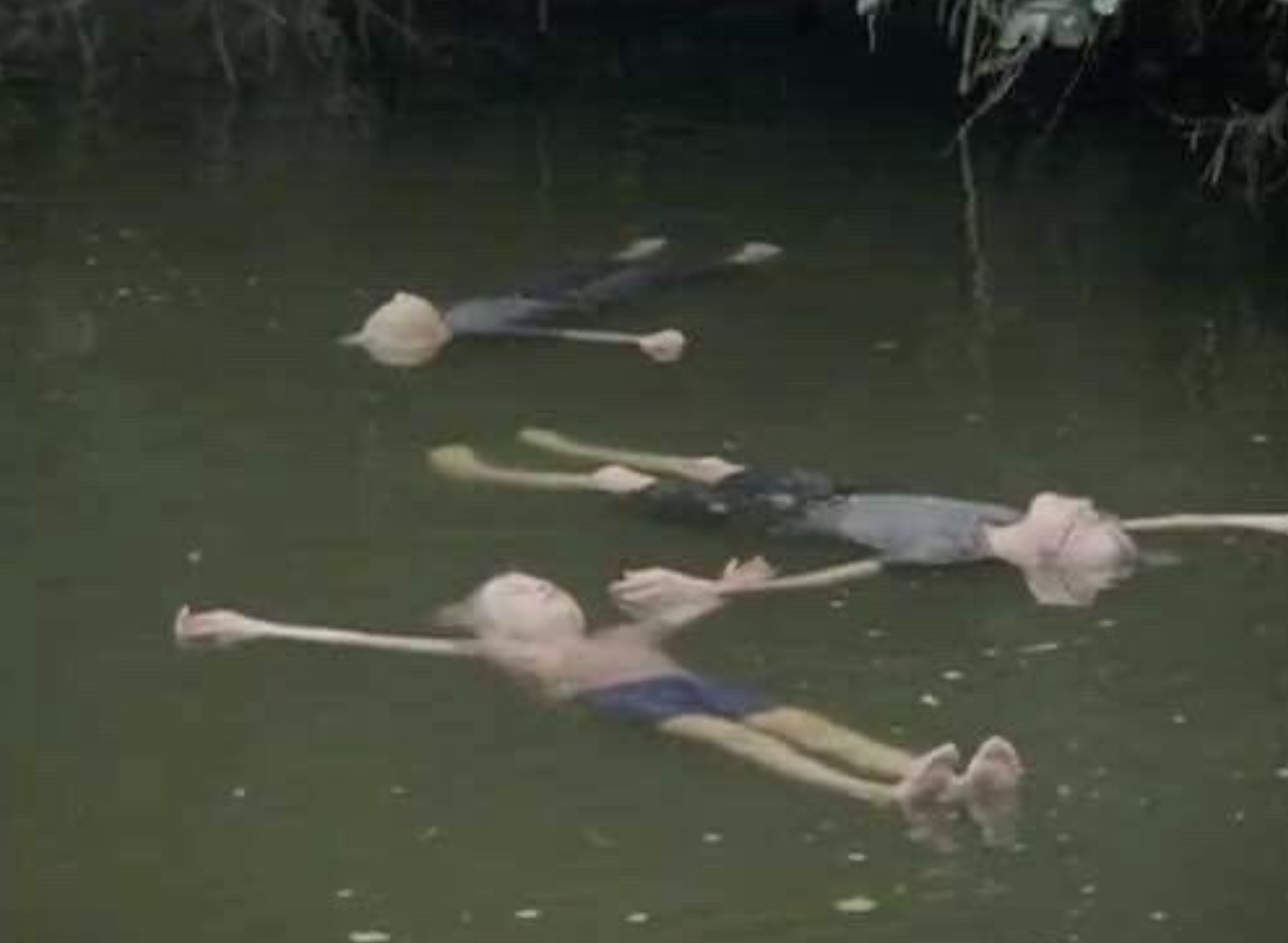 bodies in the water