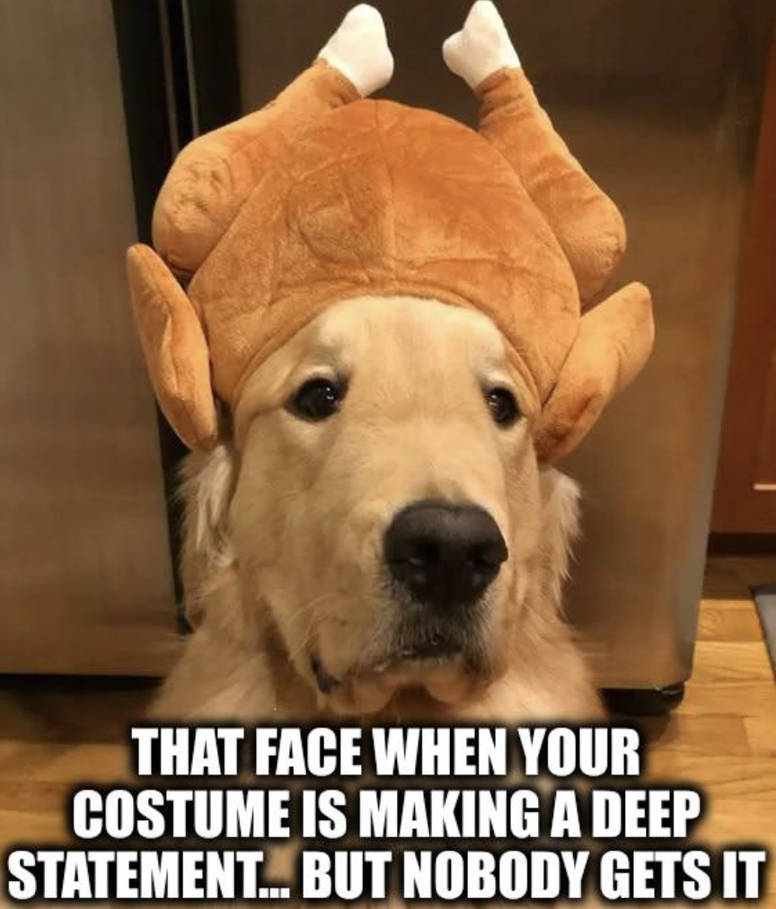 Dog - That Face When Your Costume Is Making A Deep Statement... But Nobody Gets It