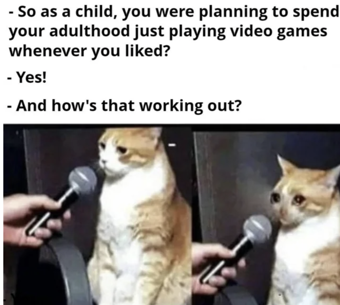 long have you been playing this game - So as a child, you were planning to spend your adulthood just playing video games whenever you d? Yes! And how's that working out?