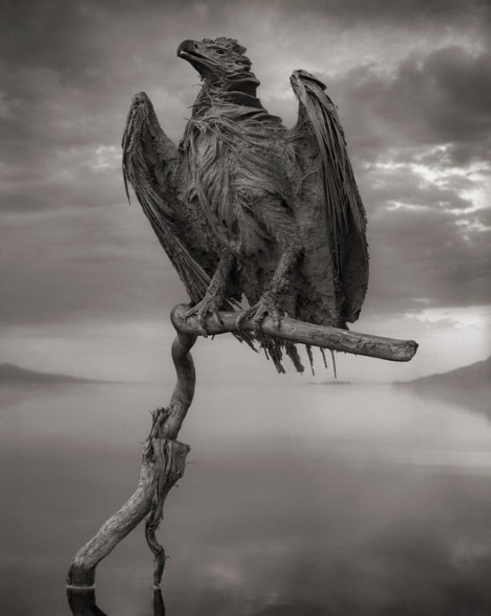 lake natron animals