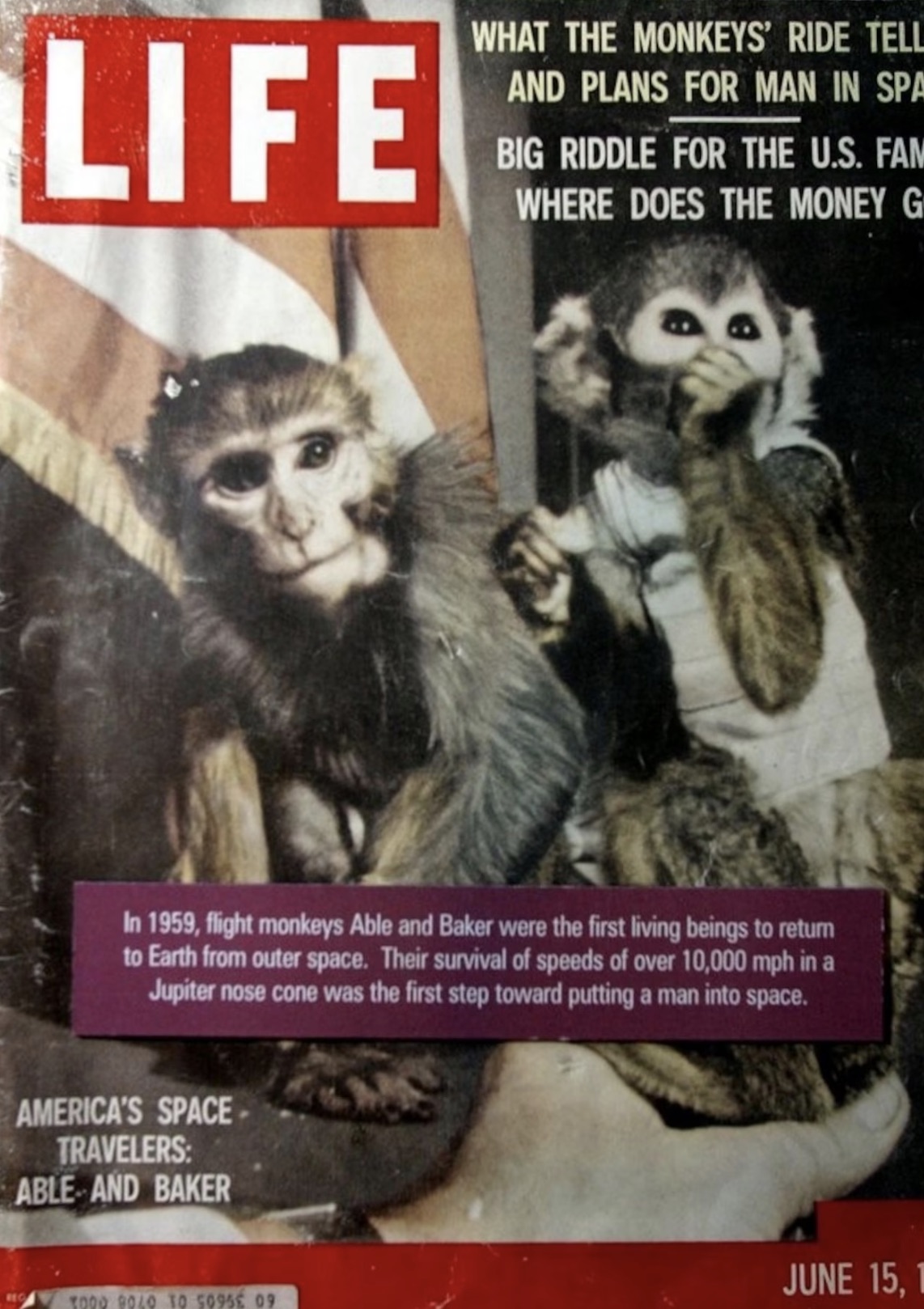 able and baker space monkeys - Life What The Monkeys' Ride Tell And Plans For Man In Spa Big Riddle For The U.S. Fam Where Does The Money G In 1959, flight monkeys Able and Baker were the first living beings to return to Earth from outer space. Their surv