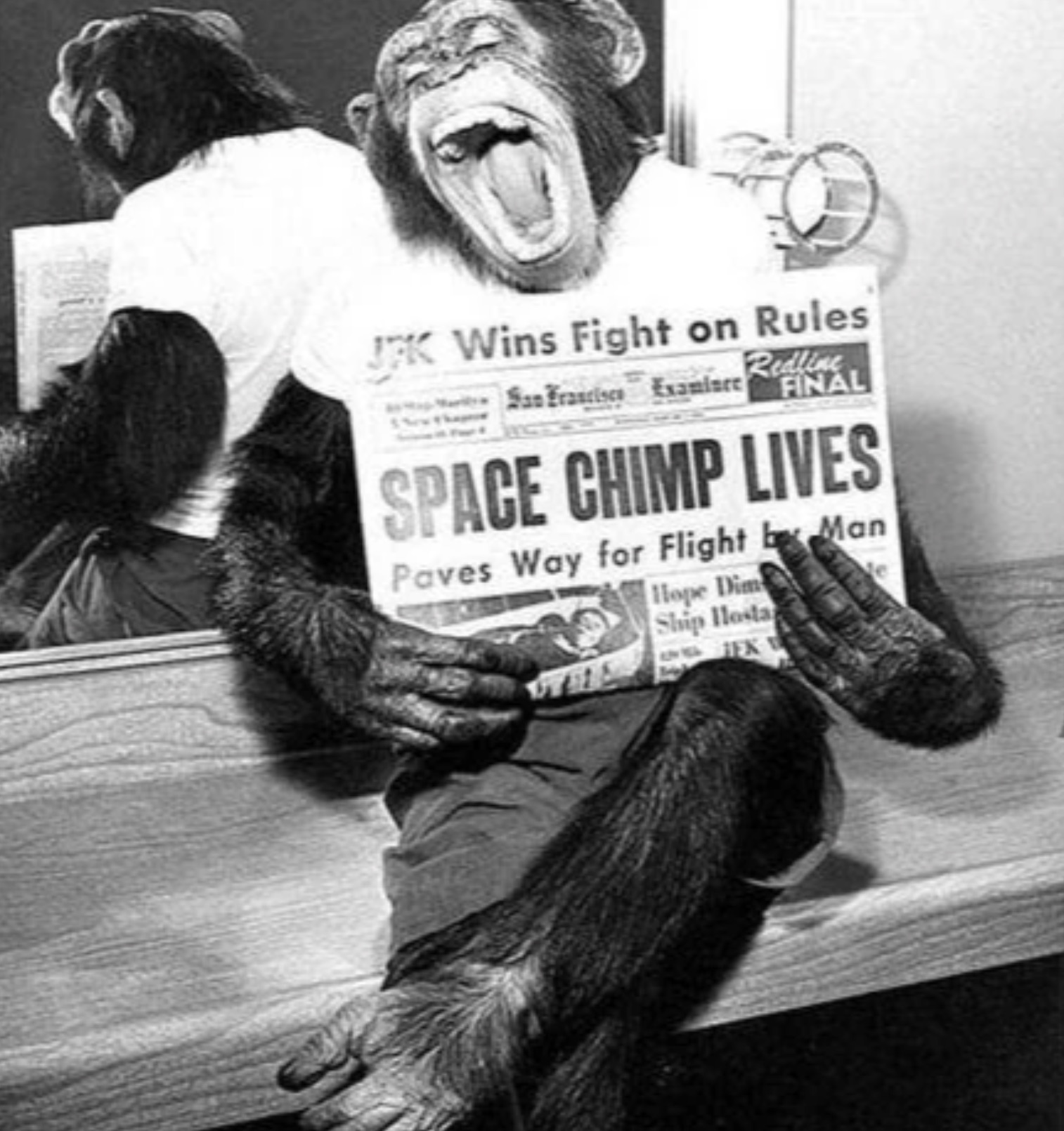 ham space chimp - Jfk Wins Fight on Rules San Franciscs Examinee Redline xaminee Final Space Chimp Lives Paves Way for Flight Man Hope Dim Ship Hosta Fk