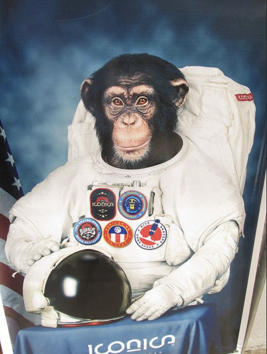 first monkey in space - Icodica Dive Bonus Space Iconic Kooka