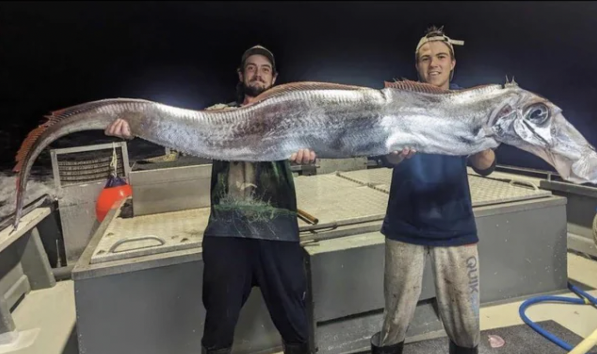 Doomsday fish recently caught in Australia - so long, folks