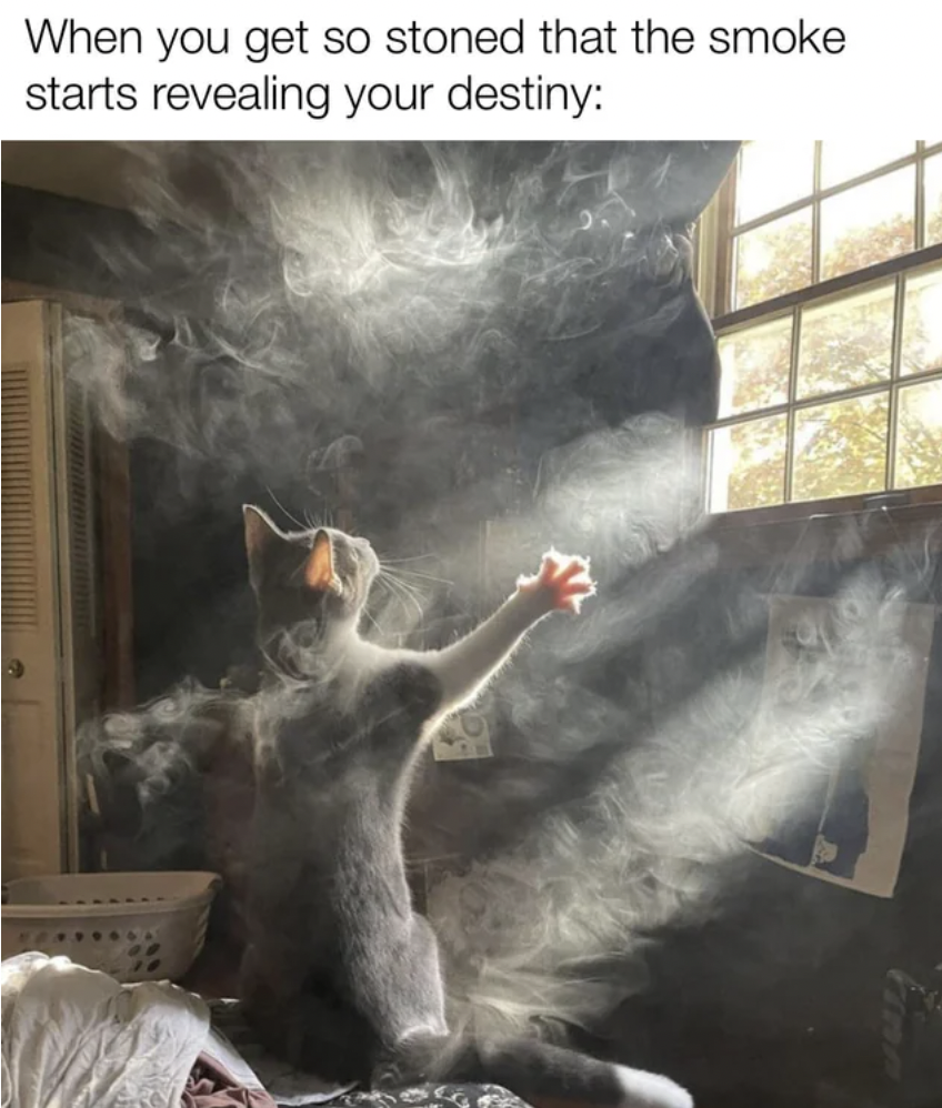 paw - When you get so stoned that the smoke starts revealing your destiny