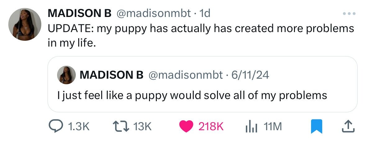 screenshot - Madison B . 1d Update my puppy has actually has created more problems in my life. Madison B 61124 I just feel a puppy would solve all of my problems 13K Il 11M