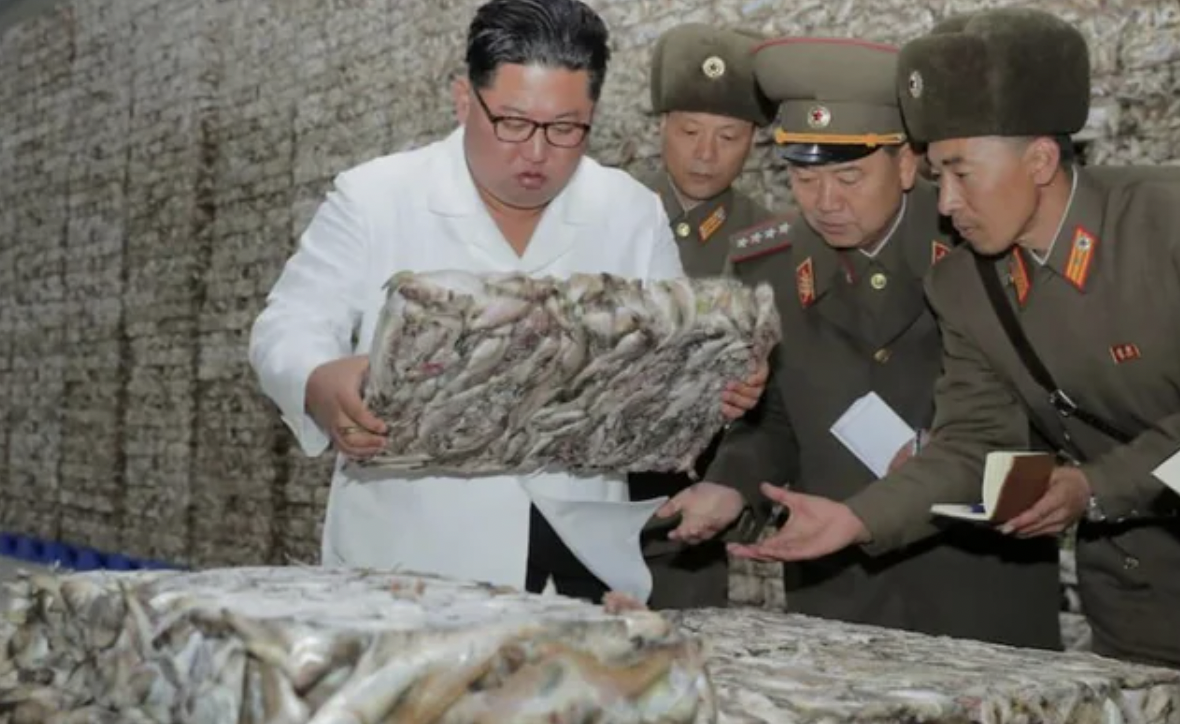 Kim Jong Un visits a fish processing facility.