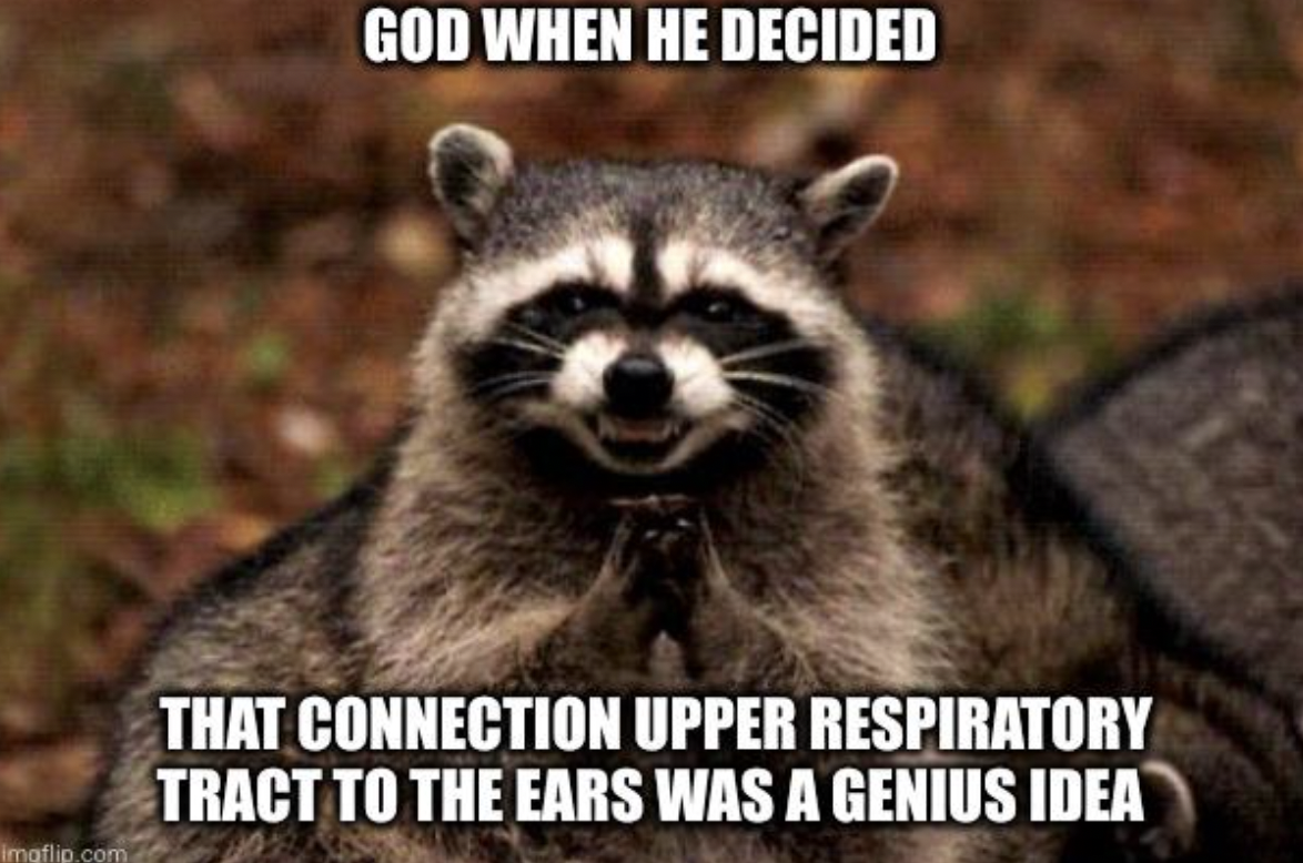 evil raccoon - God When He Decided imgflip.com That Connection Upper Respiratory Tract To The Ears Was A Genius Idea