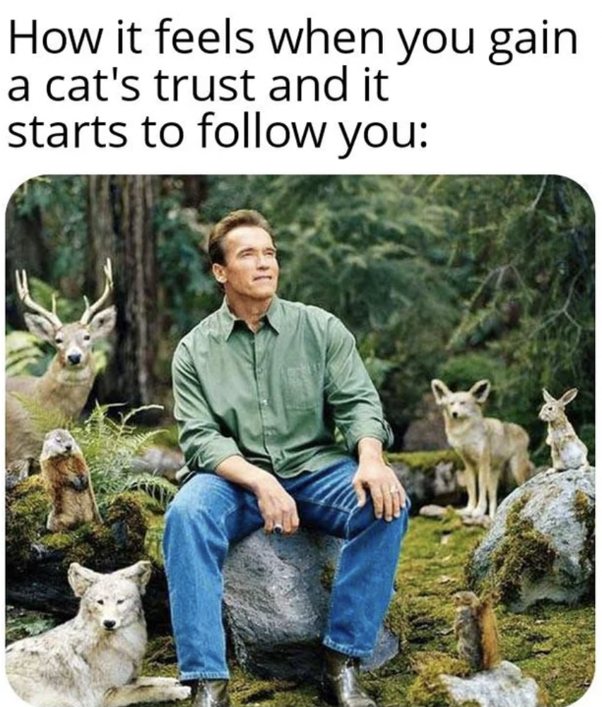 arnold schwarzenegger nature - How it feels when you gain a cat's trust and it starts to you