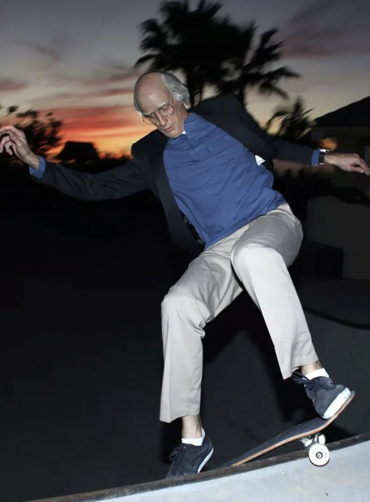 tony hawk larry david - O