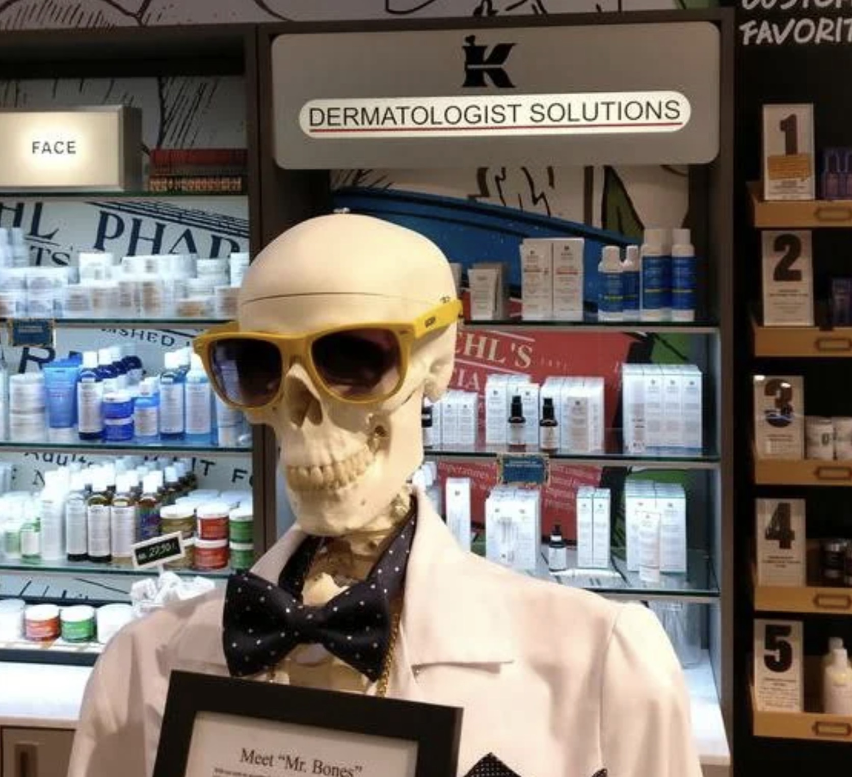 display window - Face L Phar Shed K Dermatologist Solutions Meet "Mr. Bones" Hl'S Favorit 5