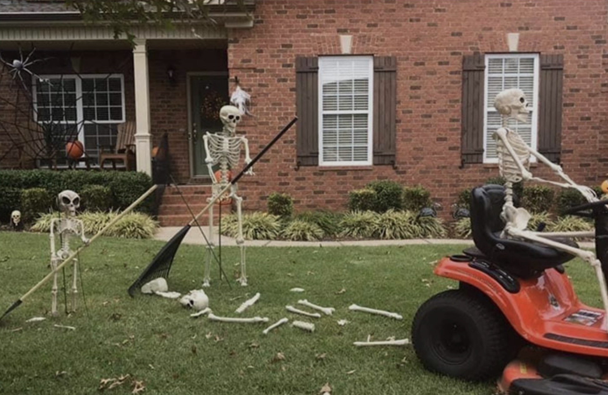 36 Halloween Skeletons Just Trying to Live Their Daily Afterlives