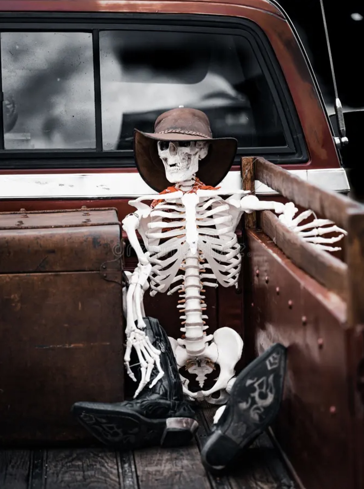 36 Halloween Skeletons Just Trying to Live Their Daily Afterlives