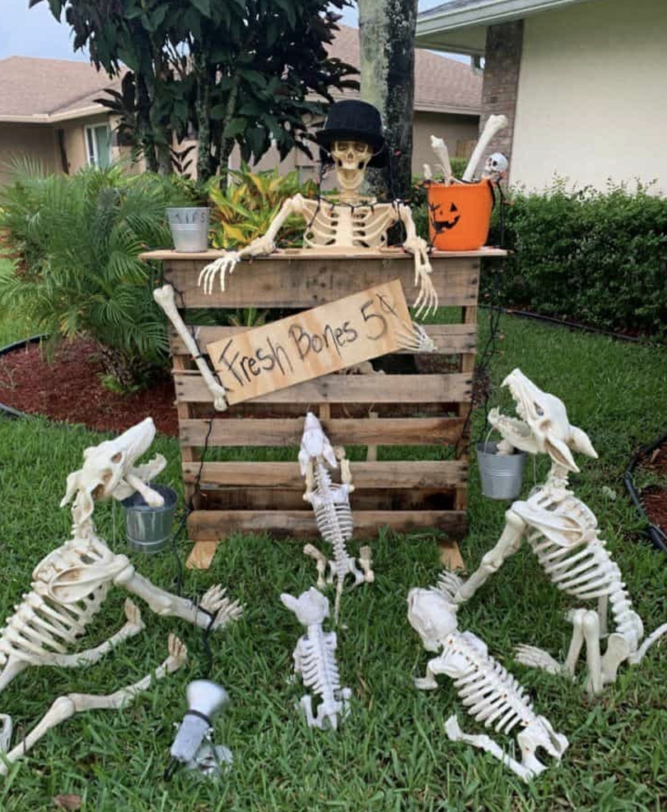 funny skeleton yard display - Fresh Bones 5