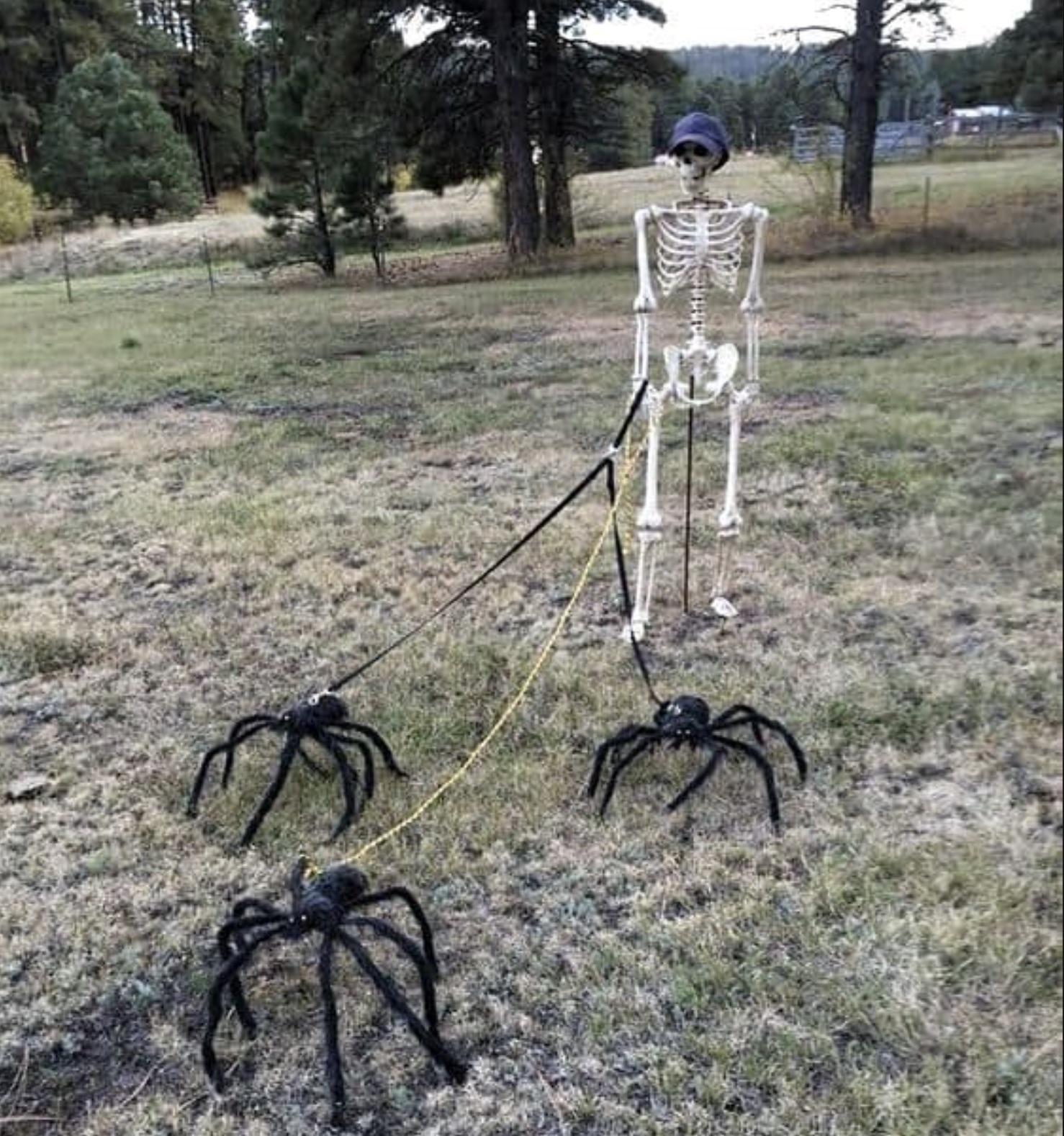 outdoor diy spider halloween decorations