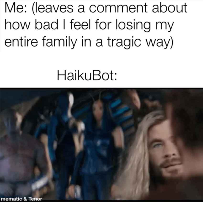 photo caption - Me leaves a comment about how bad I feel for losing my entire family in a tragic way HaikuBot mematic & Tenor