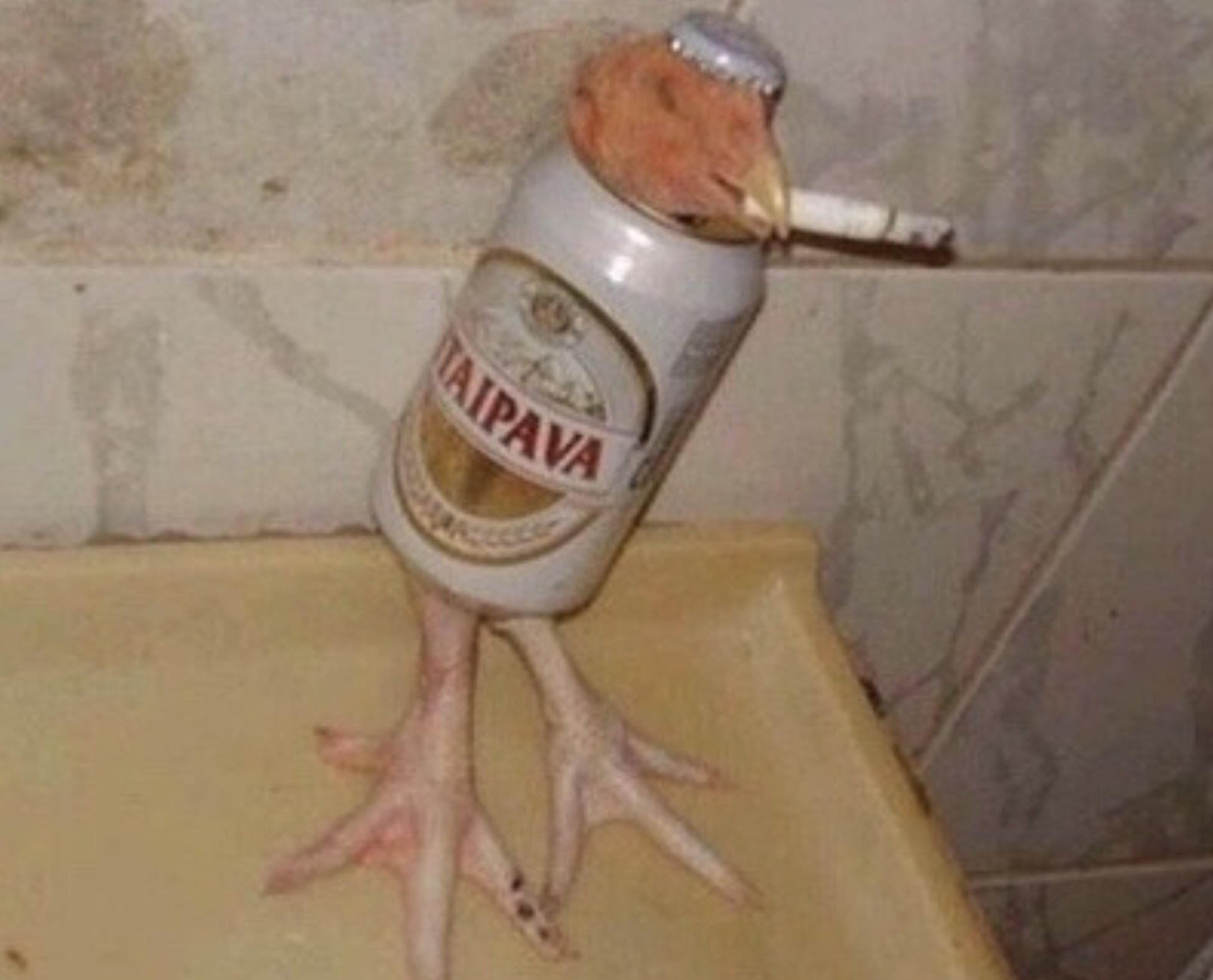 cursed cjicken - Taipava