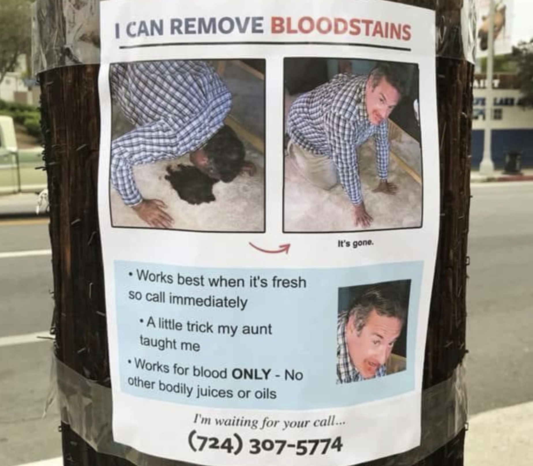 Meme - I Can Remove Bloodstains It's gone. Works best when it's fresh so call immediately A little trick my aunt taught me Works for blood Only No other bodily juices or oils I'm waiting for your call... 724 3075774 Elas