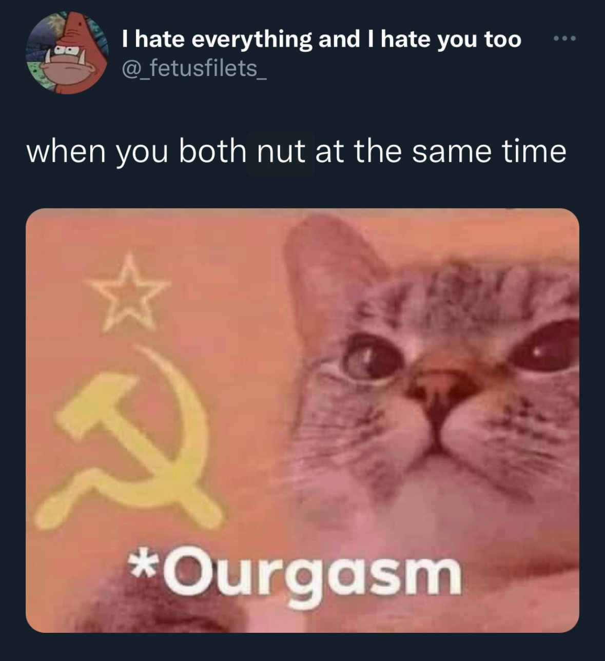 communist cat - I hate everything and I hate you too ... when you both nut at the same time Ourgasm