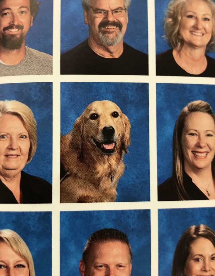 The service dog at this school made it into the faculty portion of the yearbook. 