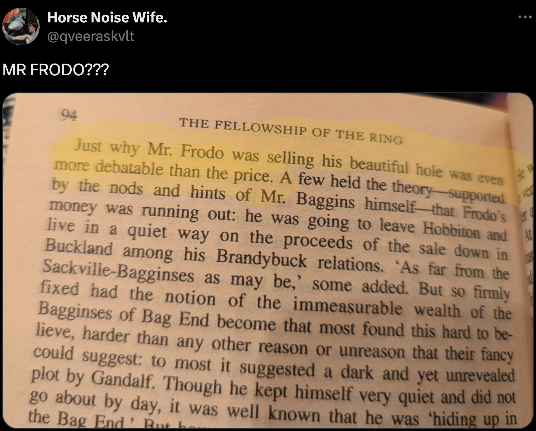 screenshot - Horse Noise Wife. Mr Frodo??? 94 The Fellowship Of The Ring Just why Mr. Frodo was selling his beautiful hole was even more debatable than the price. A few held the theorysupported by the nods and hints of Mr. Baggins himself that Frodo's mon